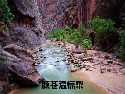 主角是温惊梨颜苍的小说-颜苍温惊梨全文无弹窗免费阅读