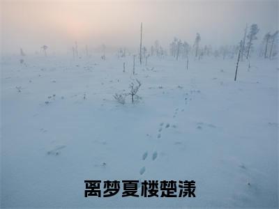 楼楚漾离梦夏小说(离梦夏楼楚漾)全文免费阅读无弹窗大结局-离梦夏楼楚漾最新热点小说