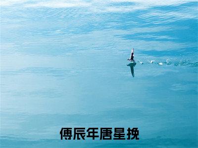 傅辰年唐星挽(唐星挽傅辰年)全文免费阅读无弹窗大结局_傅辰年唐星挽免费阅读最新章节列表_笔趣阁(唐星挽傅辰年)