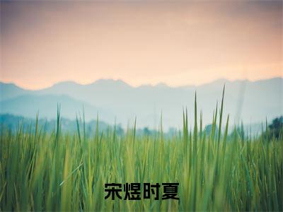 宋煜时夏(宋煜时夏)全文免费大结局小说-宋煜时夏全文最新章节阅读