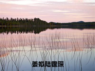 陆霆琛姜姒长篇免费小说,姜姒陆霆琛最新章节在线阅读