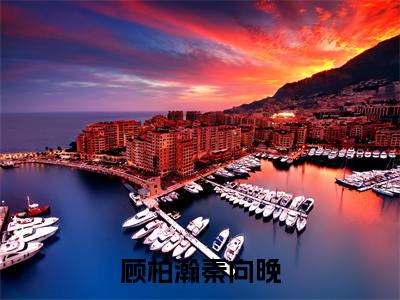 顾柏瀚秦向晚新书热荐免费小说秦向晚顾柏瀚全文完整版-秦向晚顾柏瀚小说全文无删减版免费阅读
