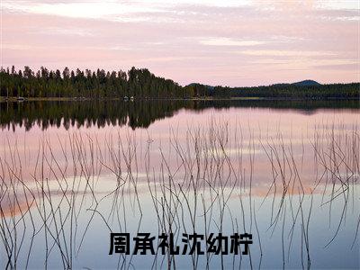 周承礼沈幼柠免费小说(沈幼柠周承礼)全本免费阅读-周承礼沈幼柠最新章节列表