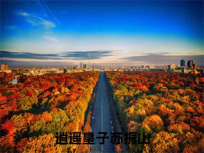 逍遥皇子苏振山(苏灿苏振山)全文免费阅读无弹窗大结局_逍遥皇子苏振山全文阅读完整版_笔趣阁(苏灿苏振山)