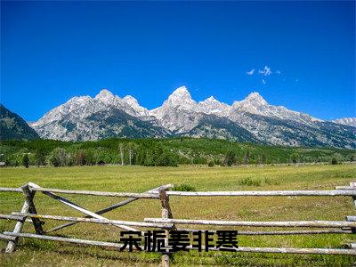 宋栀姜非寒（宋栀姜非寒）全文免费阅读大结局-宋栀姜非寒最新章节列表笔趣阁