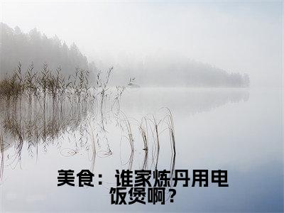 美食：谁家炼丹用电饭煲啊？（黄鹤祝帆）笔趣阁免费小说_美食：谁家炼丹用电饭煲啊？笔趣阁全文阅读