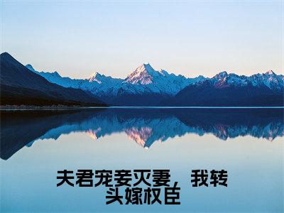 沈琼芝孙鸿渐小说(夫君宠妾灭妻,我转头嫁权臣)全文免费阅读无弹窗大结局_沈琼芝孙鸿渐小说最新章节列表_笔趣阁