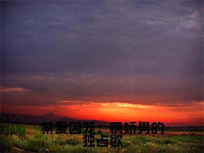 禁爱囚笼:病娇男的独占欲全文免费阅读无弹窗大结局_(禁爱囚笼:病娇男的独占欲小说)慕之桃季晏清在线免费阅读