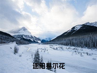 主角是易尔花逐阳的小说叫什么名字逐阳易尔花-老书虫书荒推荐热点小说逐阳易尔花（易尔花逐阳）