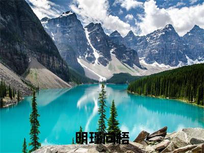 向梧明瑾(明瑾向梧)全文免费阅读无弹窗大结局_向梧明瑾小说全文大结局