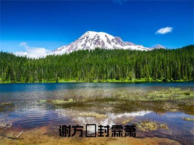 谢方妏封霖萧全本资源免费阅读结局无删节主角：谢方妏封霖萧小说全文阅读无弹窗