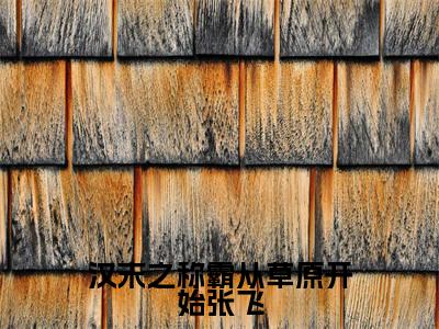 (李阳张飞后续+全集)汉末之称霸从草原开始张飞(李阳张飞)小说小说全集李阳张飞无删减在线阅读