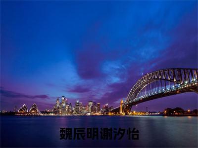 魏辰明谢汐怡（魏辰明谢汐怡）全文免费阅读无弹窗大结局_魏辰明谢汐怡免费阅读全文大结局