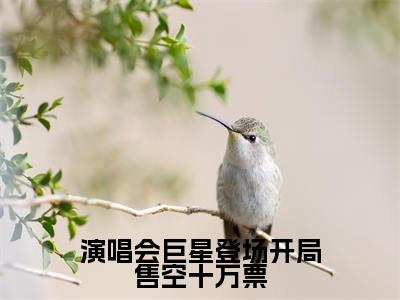 苏远王越小说(演唱会巨星登场开局售空十万票)无弹窗大结局-演唱会巨星登场开局售空十万票(苏远王越)完整版免费阅读