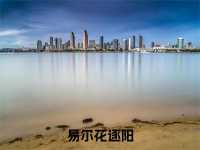 易尔花逐阳热门小说在线阅读易尔花逐阳全网推荐(易尔花逐阳)全文