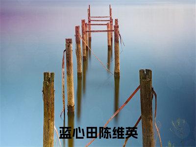 陈维英蓝心田（蓝心田陈维英小说）全文免费阅读无弹窗大结局_蓝心田陈维英小说最新章节列表_笔趣阁（陈维英蓝心田）