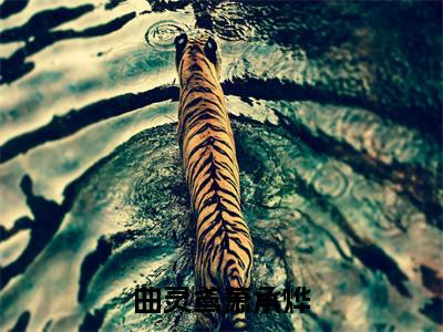 曲灵鸢萧承烨全文免费阅读_(曲灵鸢萧承烨免费阅读无弹窗)曲灵鸢萧承烨最新章节列表笔趣阁