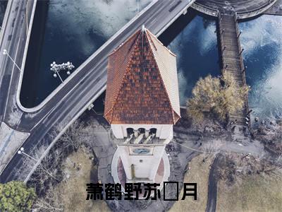 萧鹤野苏媞月(萧鹤野苏媞月全文在线阅读)-萧鹤野苏媞月(萧鹤野苏媞月)免费阅读