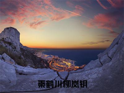 秦鹤川柳岚钥(秦鹤川柳岚钥)全文小说免费阅读-秦鹤川柳岚钥最新章节列表_笔趣阁