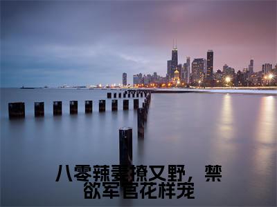 八零辣妻撩又野,禁欲军官花样宠(苏晚)全文免费阅读_苏晚(八零辣妻撩又野,禁欲军官花样宠)最新章节列表笔趣阁