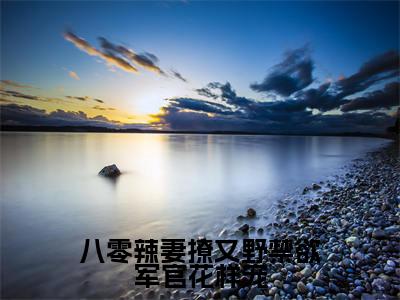 苏晚小说-《八零辣妻撩又野禁欲军官花样宠》完整章节阅读无弹窗免费阅读大结局
