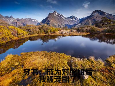 (曲艺茜向华)穿书:成为对照组后我被宠翻了全文免费阅读无弹窗大结局_(穿书:成为对照组后我被宠翻了)曲艺茜向华免费阅读无弹窗最新章节列表