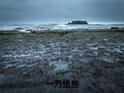 一刀绝世小说(李长青)全文免费阅读无弹窗大结局_一刀绝世小说免费阅读_笔趣阁(李长青小说)