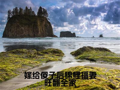 嫁给傻子后锦鲤福妻旺翻全家(崔雨露)热门小说盘点在线阅读-全网推荐小说崔雨露全文