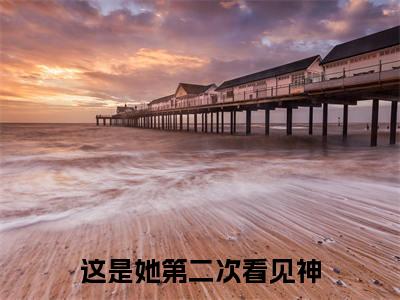林枕清宋燕川小说在线阅读(这是她第二次看见神)全文免费阅读无弹窗大结局