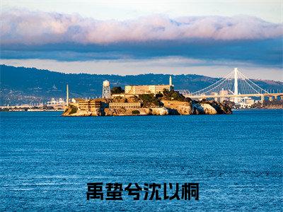 禹蛰兮沈以桐(沈以桐禹蛰兮)全文免费阅读无弹窗大结局_沈以桐禹蛰兮小说最新章节列表_笔趣阁