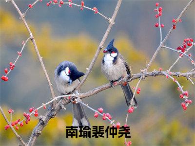 南瑜裴仲尧（南瑜裴仲尧）小红书热荐小说-南瑜裴仲尧女生爱看的小说全集资源