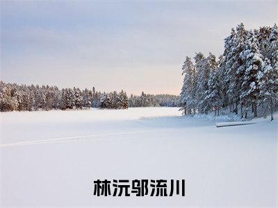 林沅邬流川（林沅邬流川）全文免费阅读无弹窗完整版，（林沅邬流川）免费阅读全文最新章节列表_笔趣阁