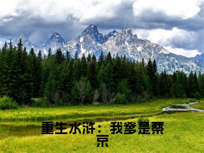 重生水浒:我爹是蔡京全文免费阅读无弹窗大结局_蔡鞗最新章节列表笔趣阁
