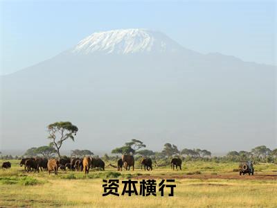 资本横行（林峰）全文免费阅读_（林峰）最新章节列表笔趣阁（林峰）