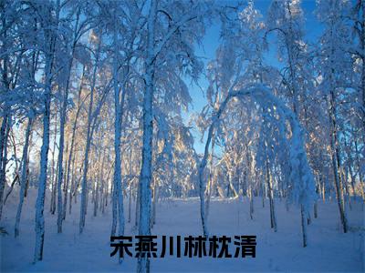 宋燕川林枕清林枕清宋燕川小说结局-宋燕川林枕清全文无弹窗阅读
