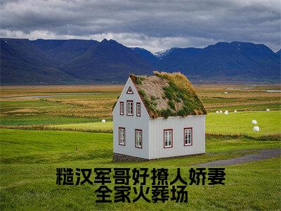 周婷婷小说在线阅读全文无弹窗大结局_糙汉军哥好撩人娇妻全家火葬场小说免费最新章节列表