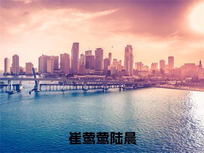 陆晨崔莺莺(崔莺莺陆晨)新上热文免费阅读-陆晨崔莺莺(崔莺莺陆晨)无广告在线阅读