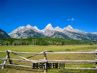 颜昕周瑾川小说(周瑾川颜昕)全文免费阅读无弹窗大结局_(周瑾川颜昕免费阅读)最新章节列表_笔趣阁(周瑾川颜昕)