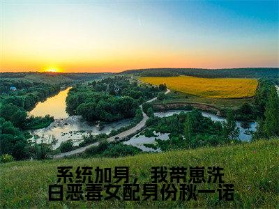 【新书】《系统加身，我带崽洗白恶毒女配身份秋一诺》全文免费阅读无弹窗大结局-秋一诺邵承远全文全章节免费阅读