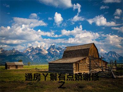 苏瑶瑶谢修之（通房丫鬟有点娇谢修之）小说好看吗-苏瑶瑶谢修之最后结局如何（通房丫鬟有点娇谢修之）小说无弹窗免费阅读