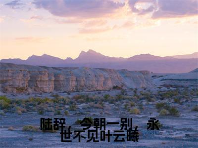 叶云曦陆辞(叶云曦陆辞)全文免费阅读无弹窗大结局_陆辞,今朝一别,永世不见叶云曦最新章节列表