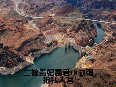 二嫁贵妃暴君小叔强抢我入宫（郭云挽萧峥）全文免费阅读_郭云挽萧峥正版小说全文阅读