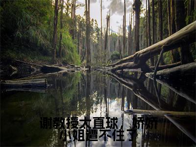 谢宴宁苏绾晚小说免费阅读-谢教授太直球，娇娇小姐遭不住了完整版全文大结局