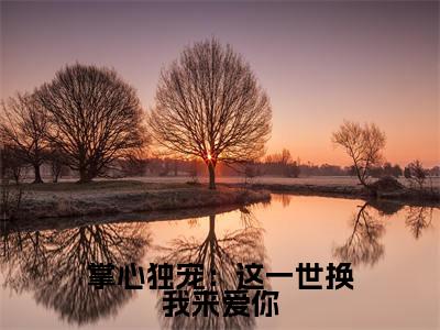 掌心独宠:这一世换我来爱你南笙殷寒小说全文免费阅读无弹窗大结局_(南笙殷寒)最新章节列表笔趣阁