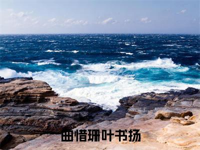 高赞小说曲惜珊叶书扬(叶书扬曲惜珊)完结阅读_叶书扬曲惜珊曲惜珊叶书扬免费看全文