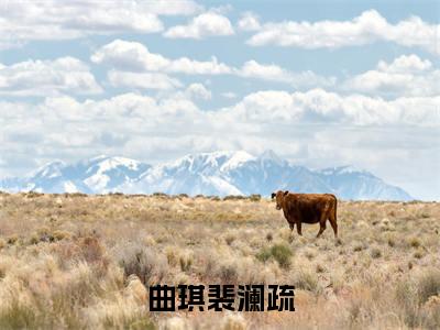 曲琪裴澜疏小说（曲琪裴澜疏）全文免费阅读_（曲琪裴澜疏小说）曲琪裴澜疏小说精彩在线赏析