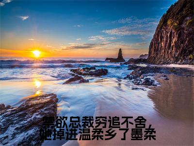 墨柔傅景珩小说在线阅读全文无弹窗_禁欲总裁穷追不舍，她掉进温柔乡了墨柔小说最新全文完整无删减版