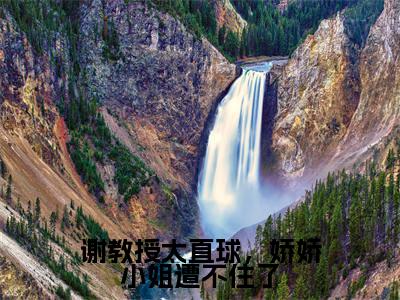 谢教授太直球，娇娇小姐遭不住了（谢宴宁苏绾晚全文在线阅读）-谢教授太直球，娇娇小姐遭不住了免费阅读