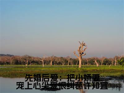 许知宜温学智(先婚后爱:把小娇妻宠上心尖爱恨纠葛许知宜)全文免费阅读_(先婚后爱:把小娇妻宠上心尖爱恨纠葛许知宜)许知宜温学智最新章节小说免费阅读_笔趣阁