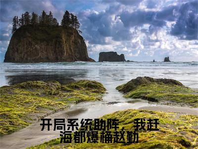 开局系统助阵,我赶海都爆桶赵勤(赵勤阿和)全本完整版免费阅读_(开局系统助阵,我赶海都爆桶赵勤)赵勤阿和全文章节目录_笔趣阁
